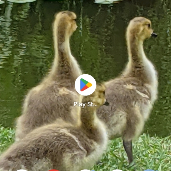 Meet your Posher, Charlene - Picture 8 of 9